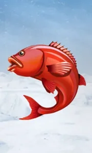 Ice Fishing