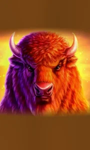 Buffalo 50